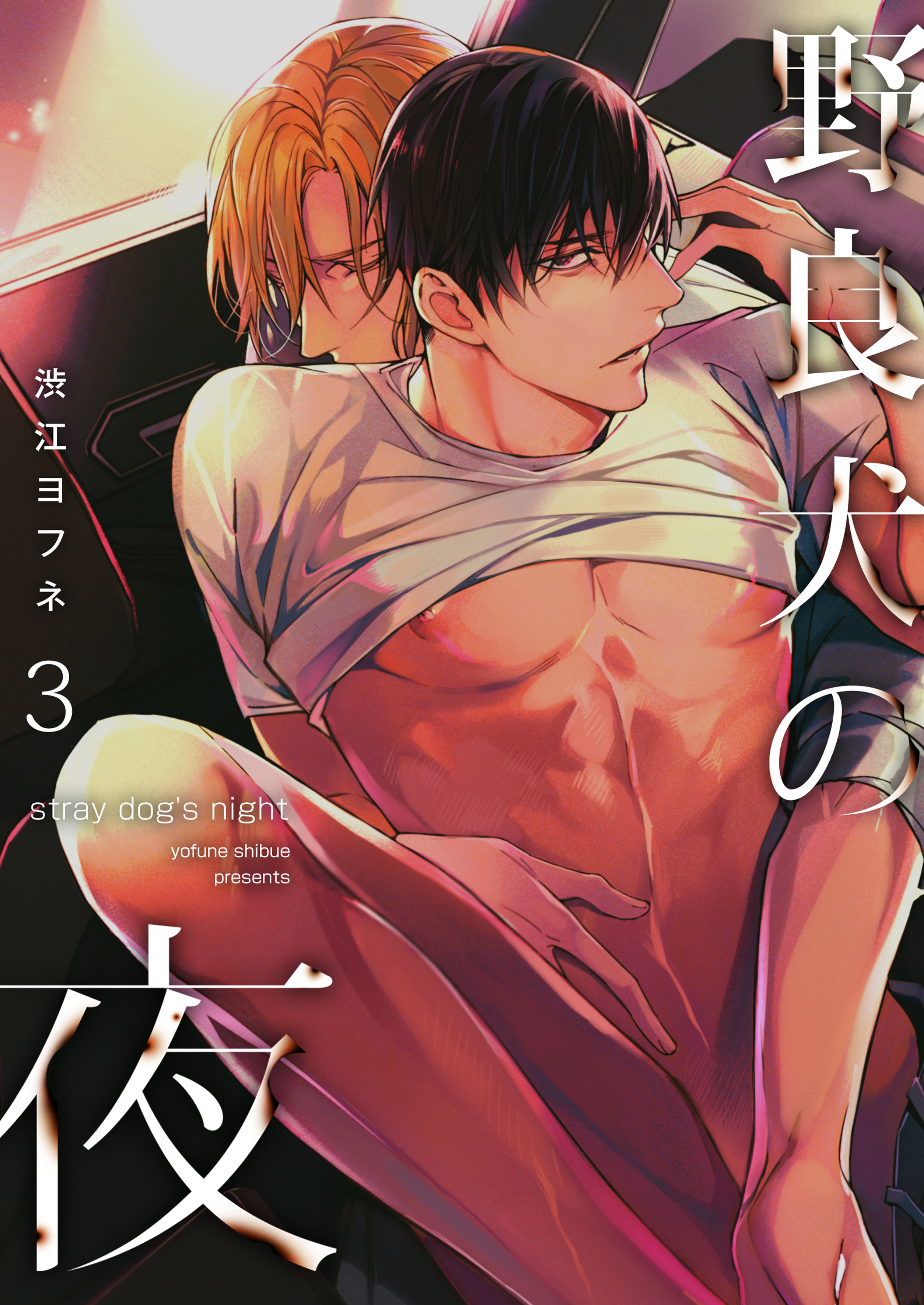 野良犬の夜（３）