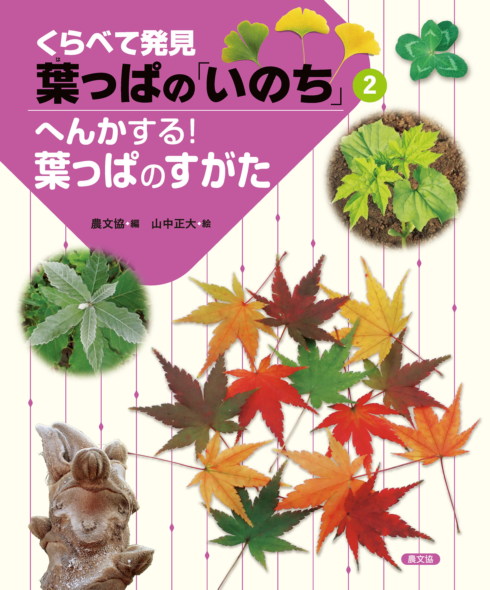 へんかする！葉っぱのすがた