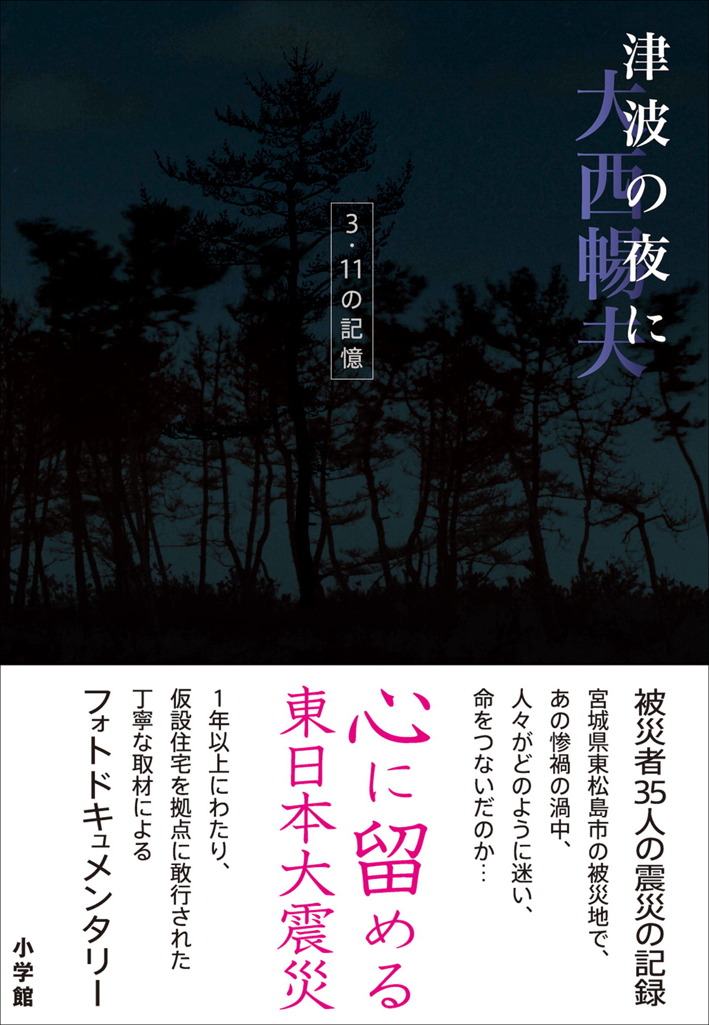 津波の夜に　３．１１の記憶