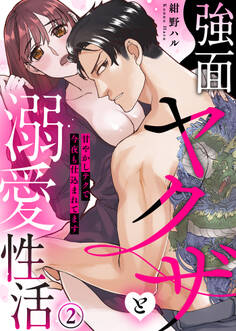 強面ヤクザと溺愛性活~甘やかしテクで今夜も仕込まれてます(2)