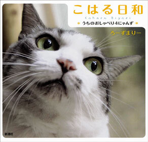 こはる日和―うちのおしゃべり４にゃんず―