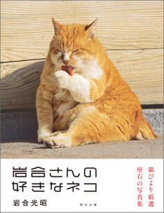岩合光昭写真集 岩合さんの好きなネコ