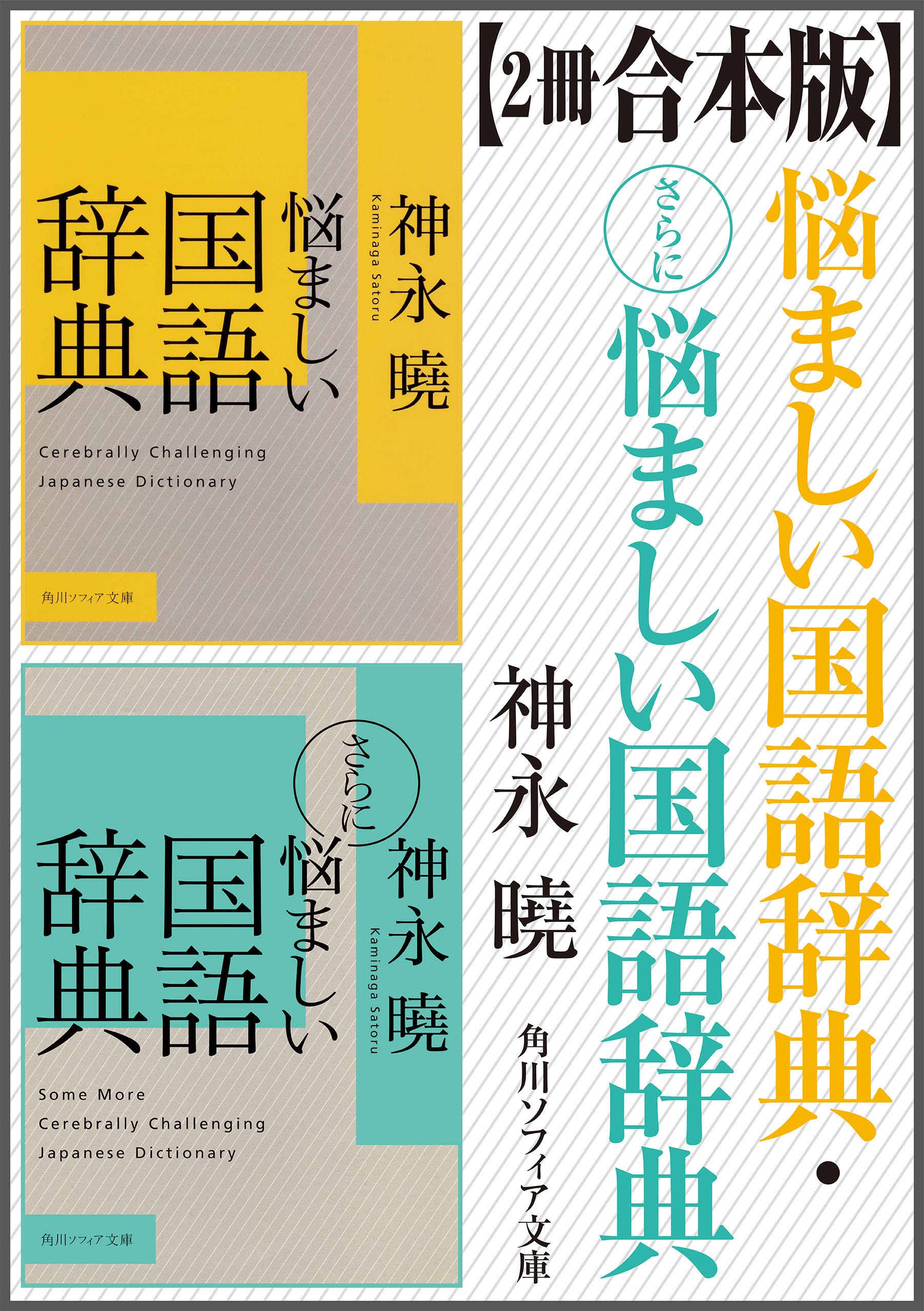 【2冊 合本版】悩ましい国語辞典・さらに悩ましい国語辞典