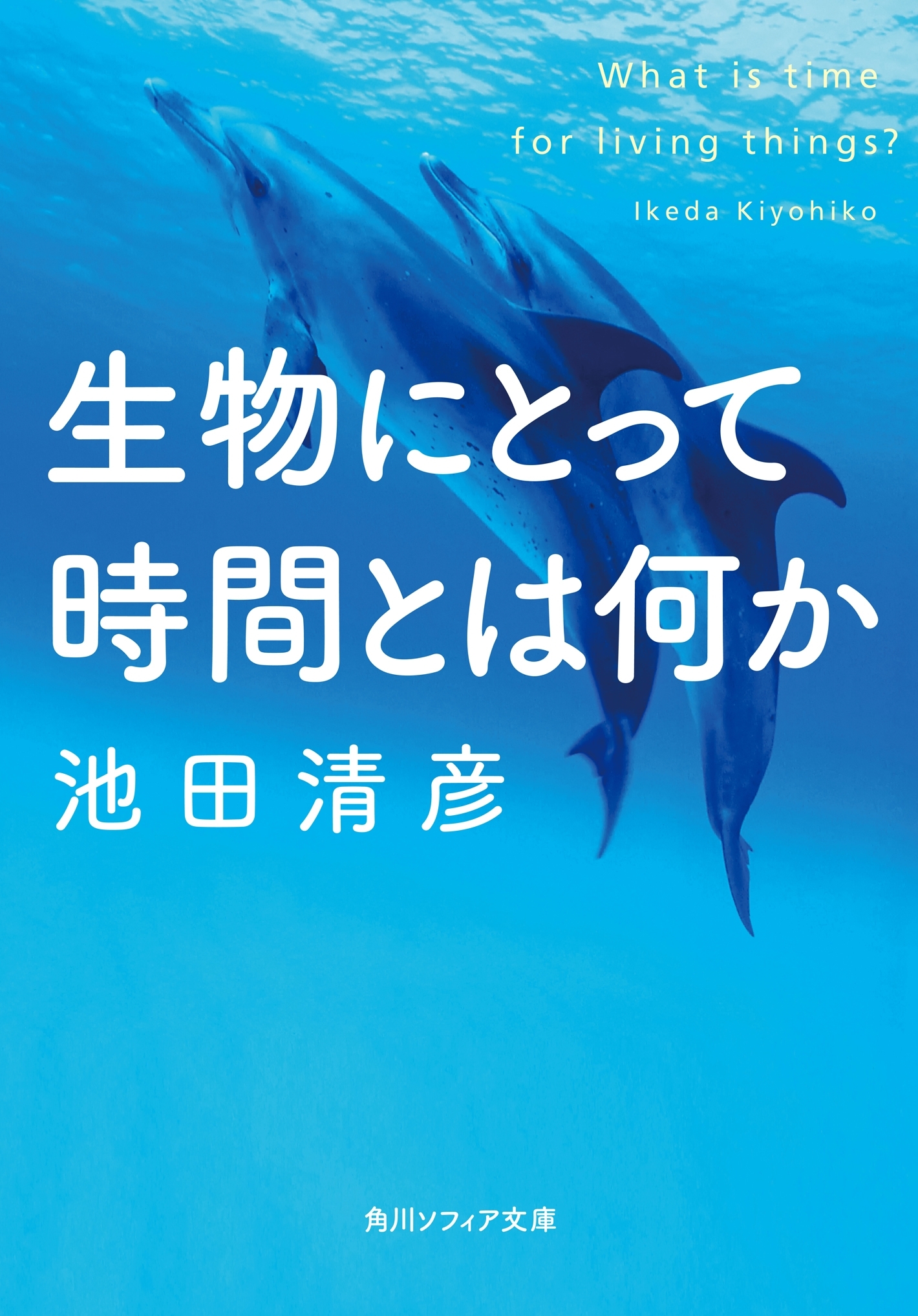 生物にとって時間とは何か