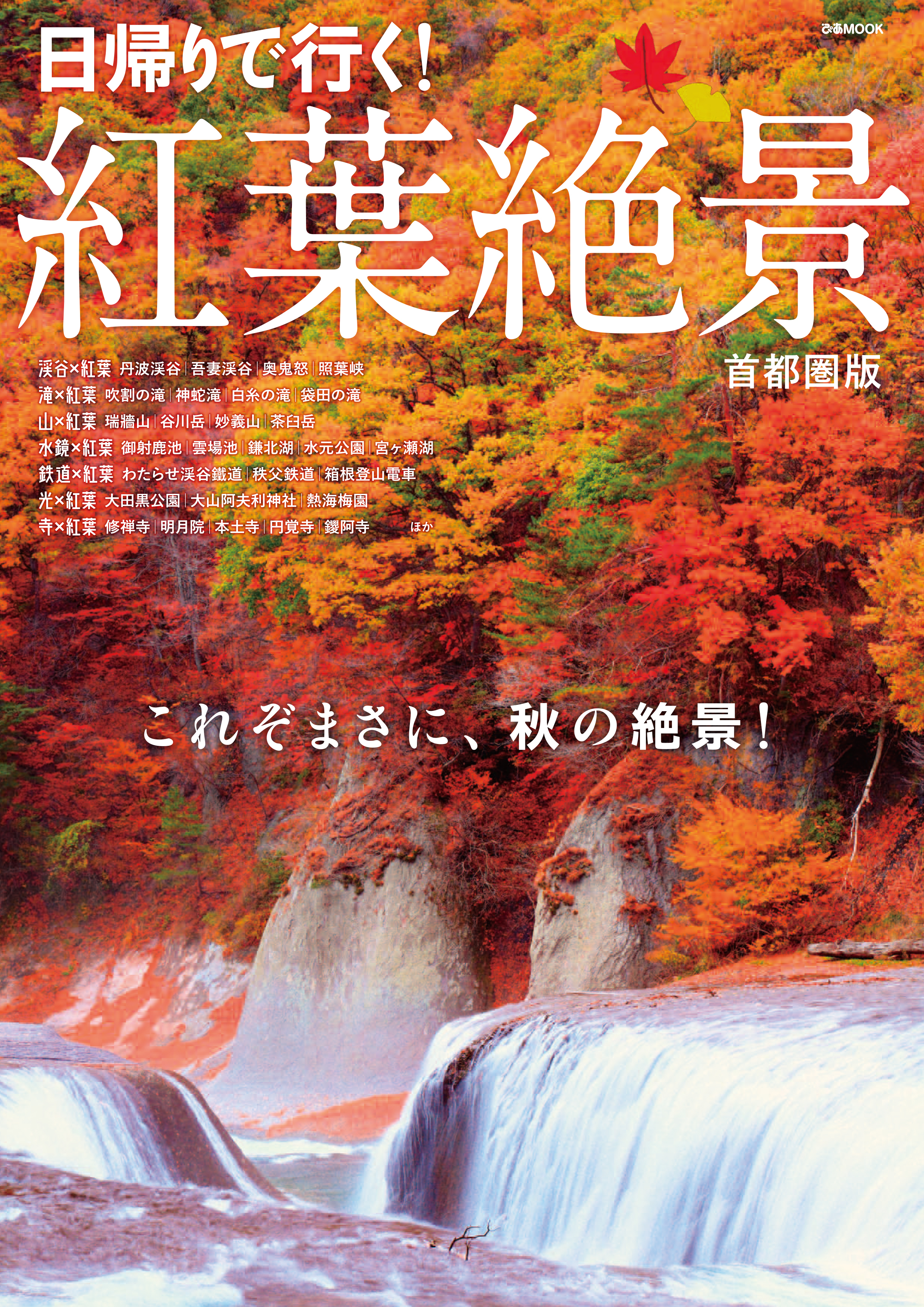 紅葉絶景　首都圏版