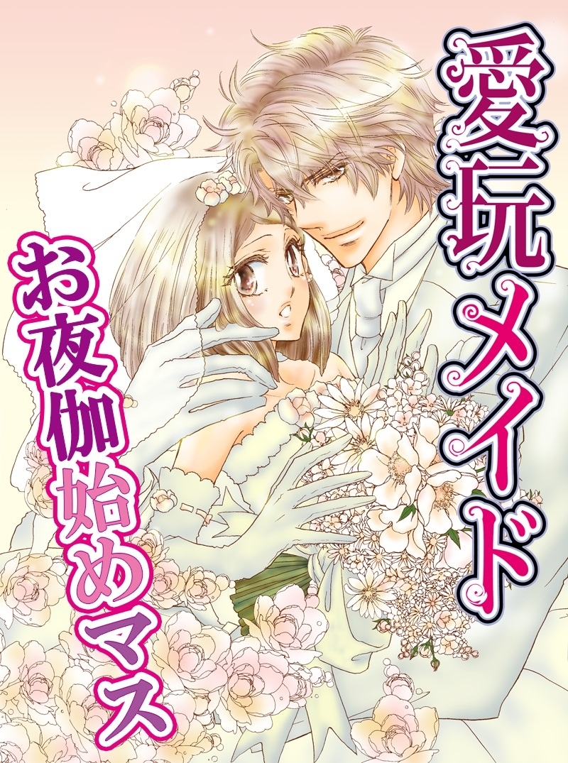 愛玩メイド-お夜伽始めマス