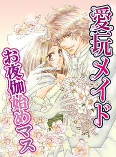 愛玩メイド-お夜伽始めマス