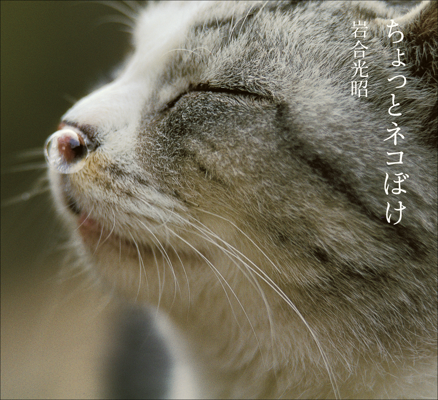 ちょっとネコぼけ　岩合光昭写真集