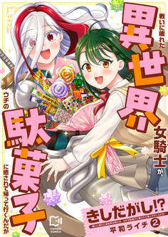 きしだがし!?~戦いに疲れた異世界女騎士が、ウチの駄菓子に癒されて帰って行くんだが~【電子単行本】 2巻