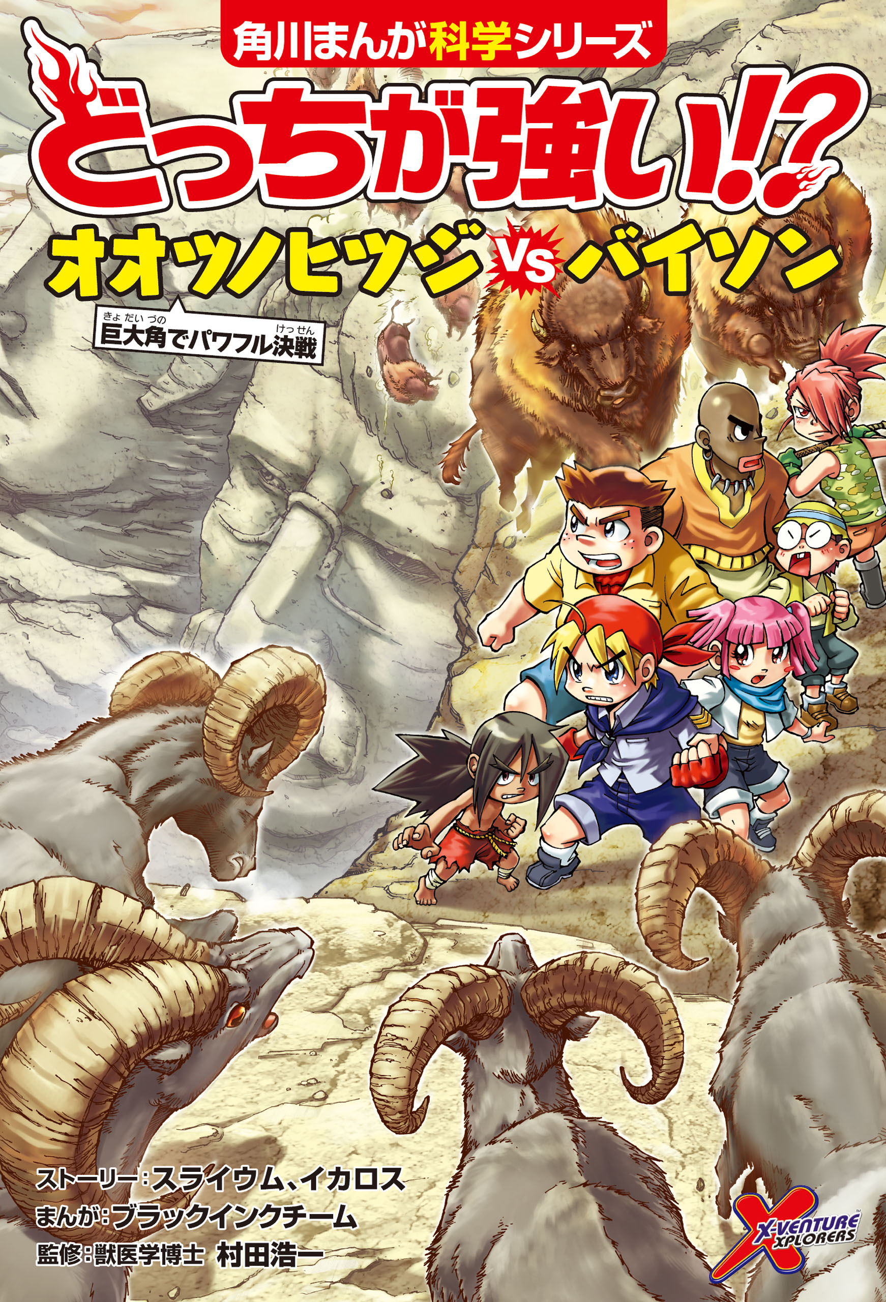 どっちが強い!?　オオツノヒツジvsバイソン　巨大角でパワフル決戦
