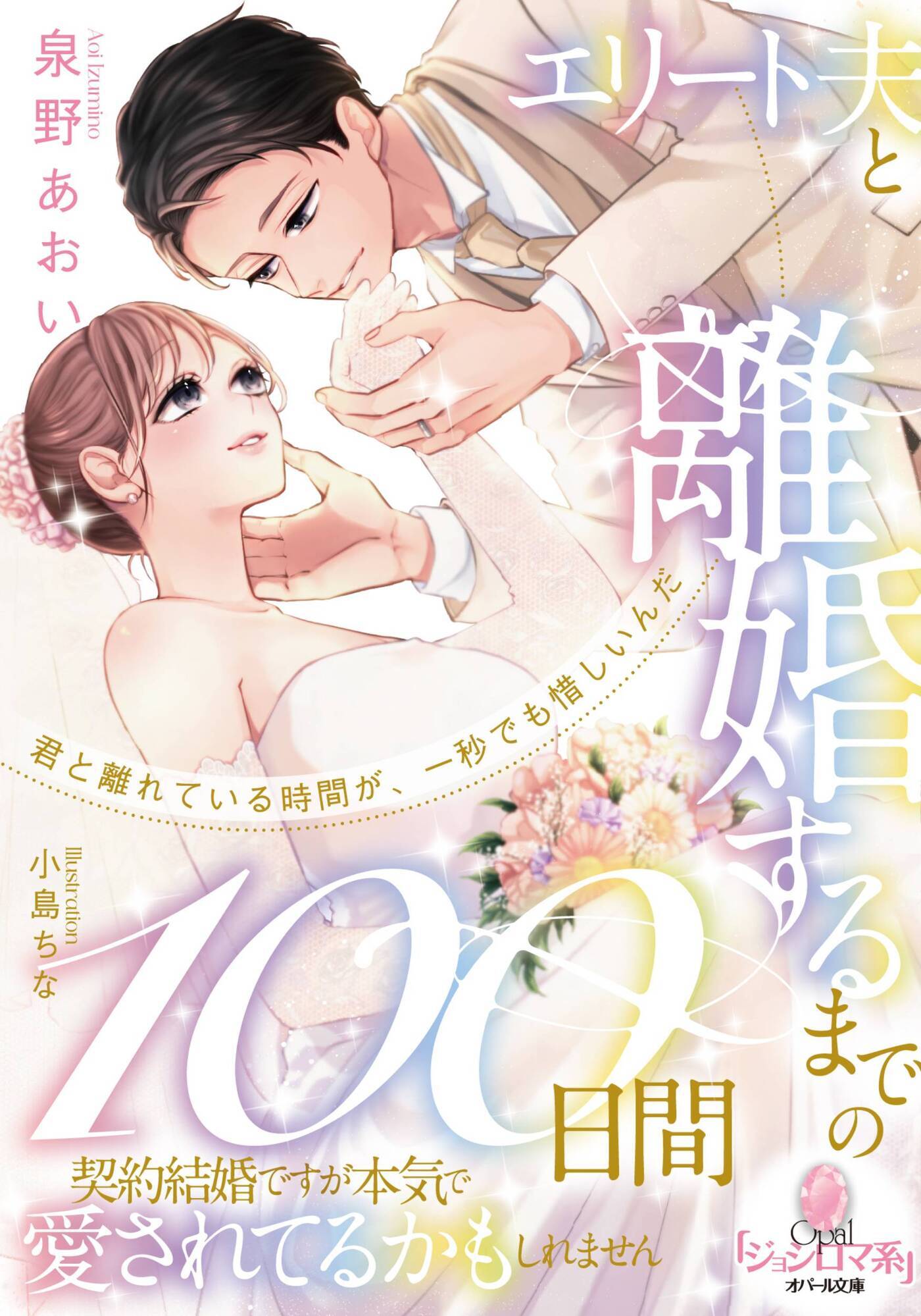 エリート夫と離婚するまでの１００日間　契約結婚ですが本気で愛されてるかもしれません