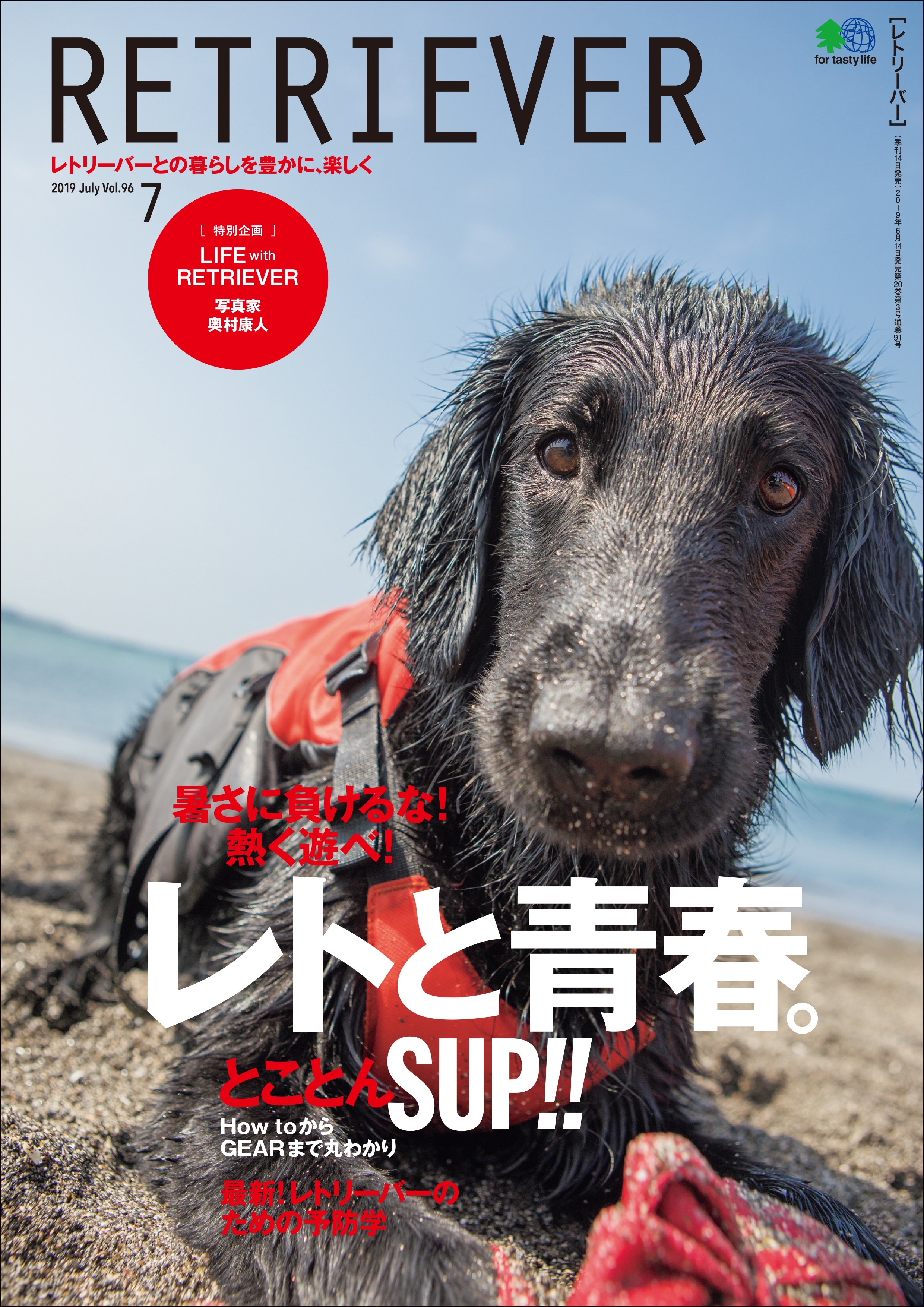 RETRIEVER 2019年7月号