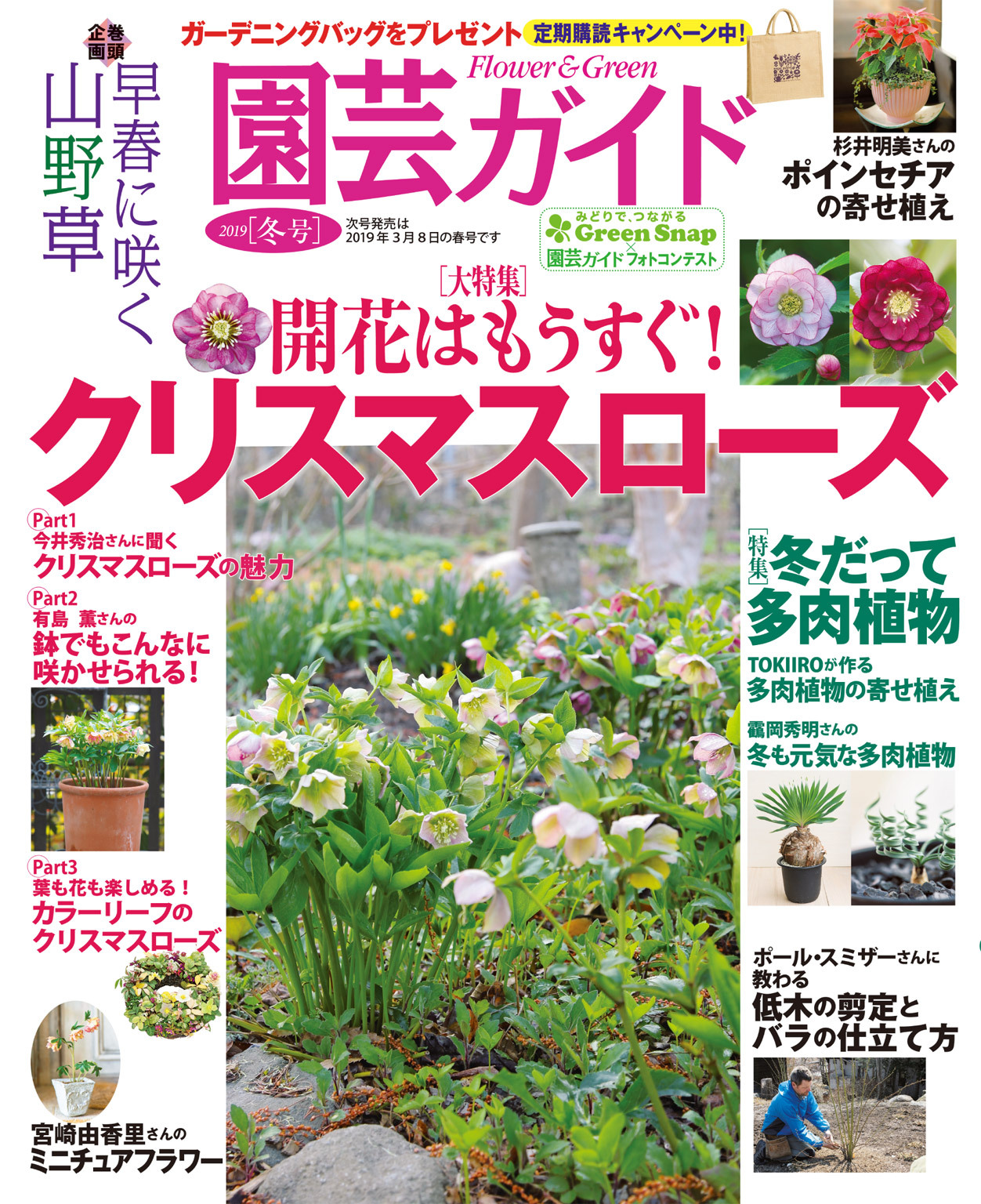 園芸ガイド 2019年冬号