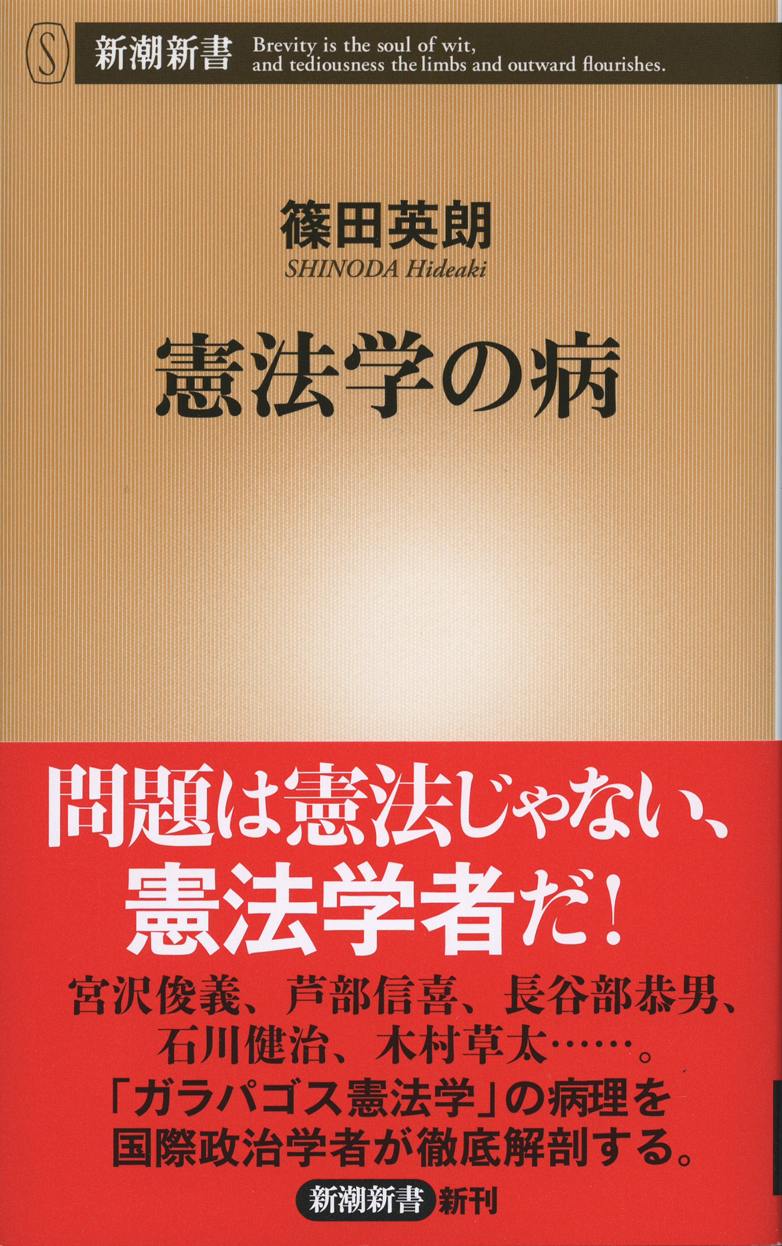 憲法学の病（新潮新書）