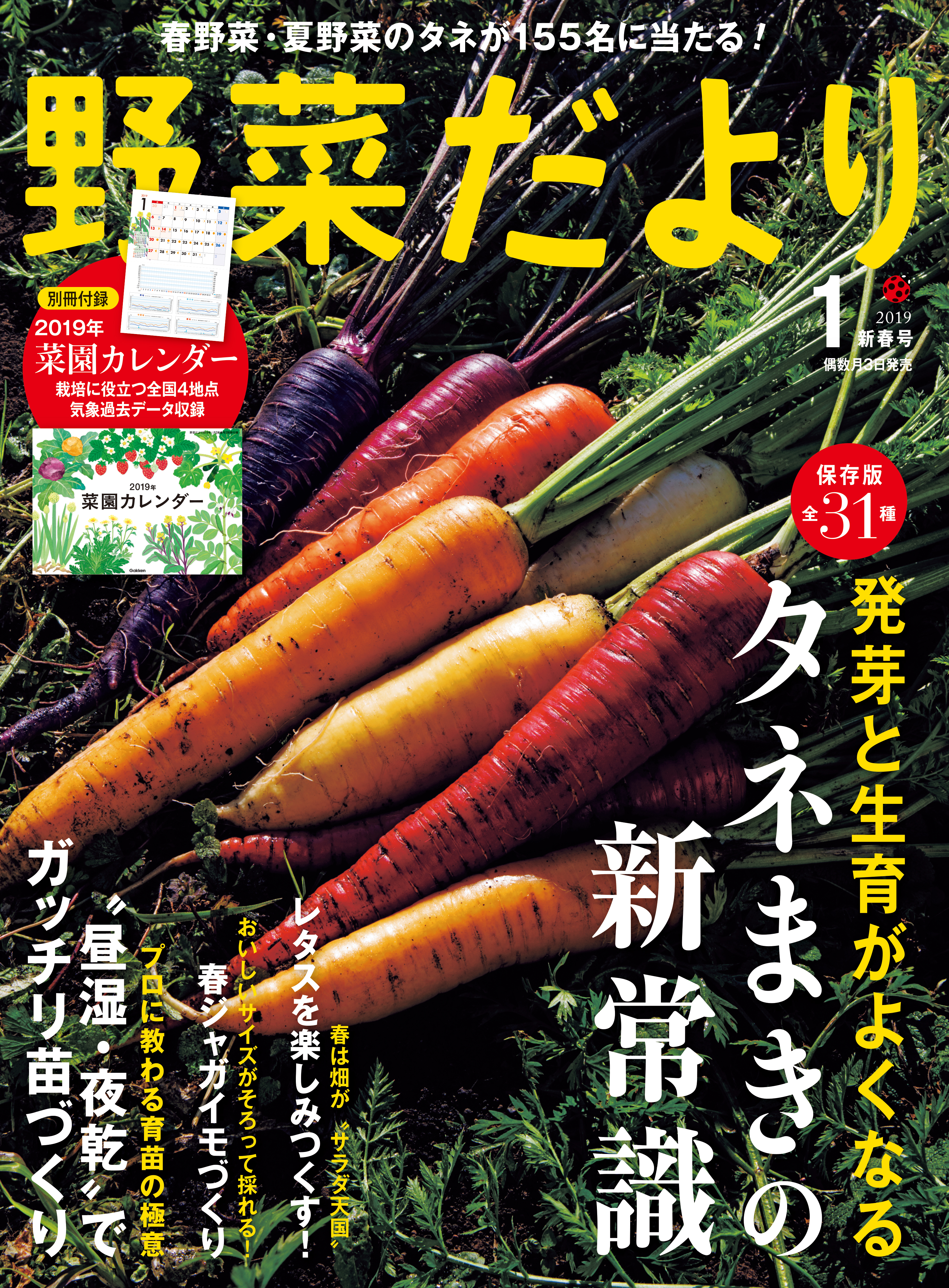 野菜だより2019年1月号