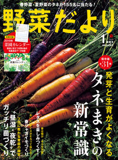 野菜だより2019年1月号