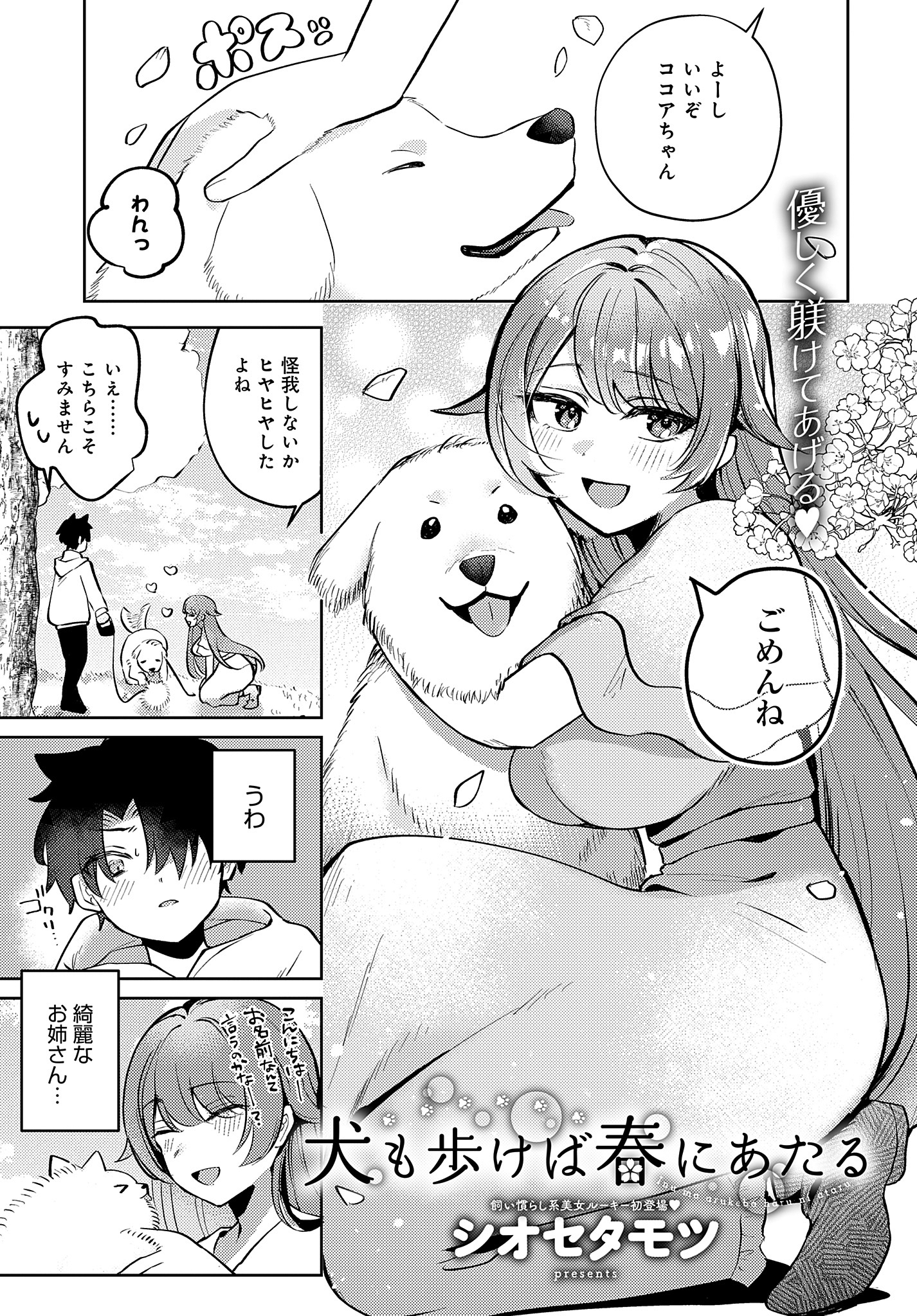 犬も歩けば春にあたる