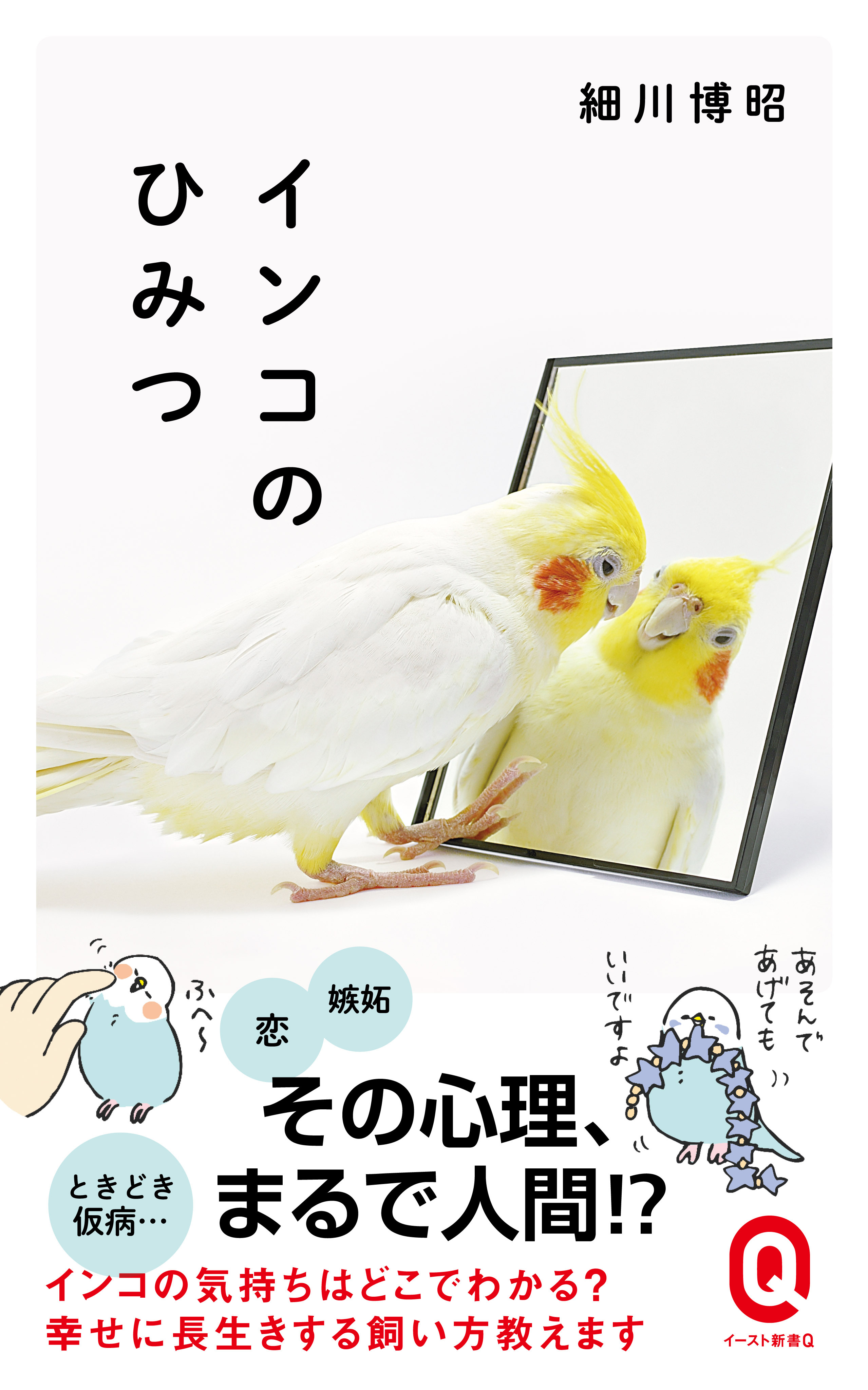 インコのひみつ