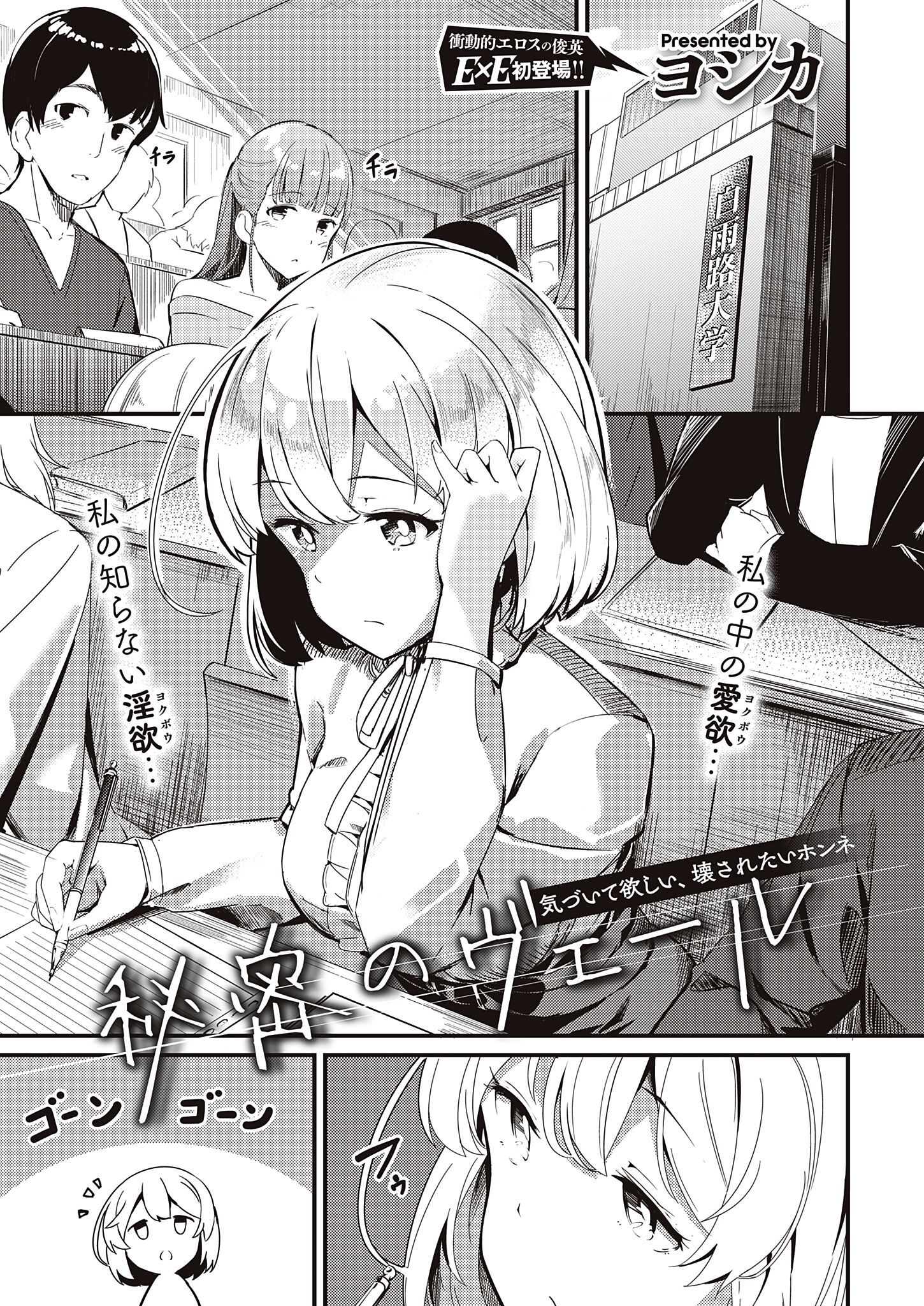 秘密のヴェール