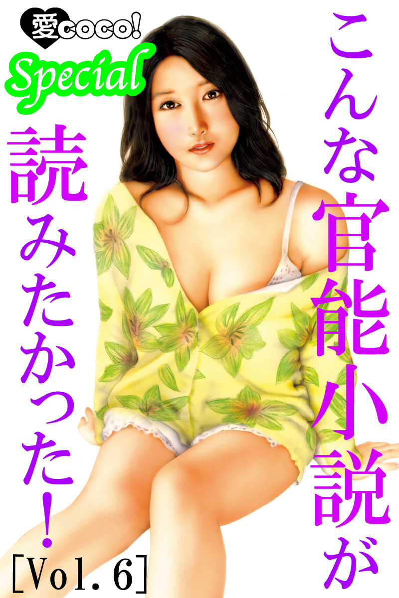 こんな官能小説が読みたかった！vol.6
