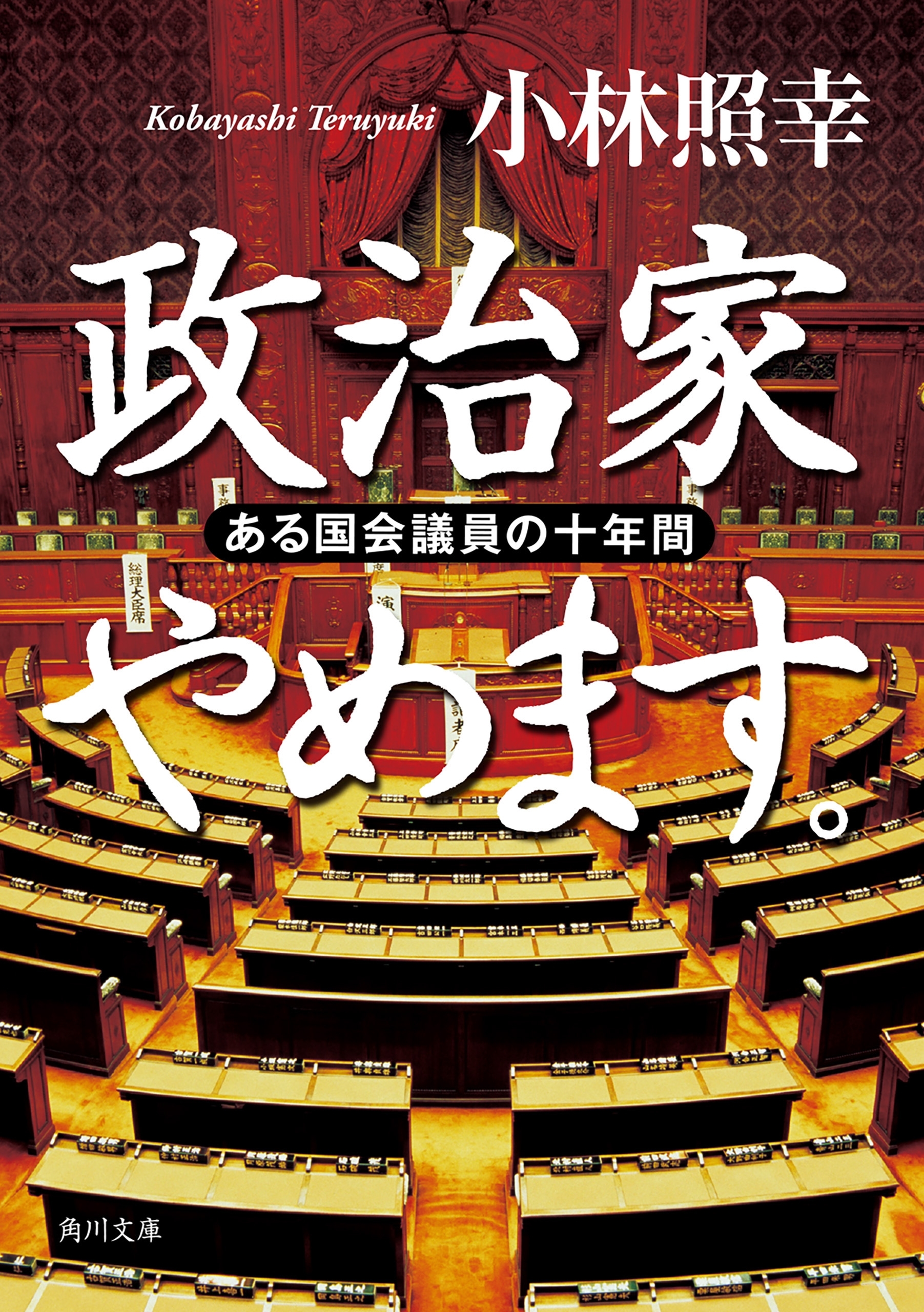 政治家やめます。　ある国会議員の十年間