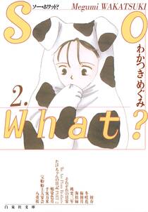 So What?（２）