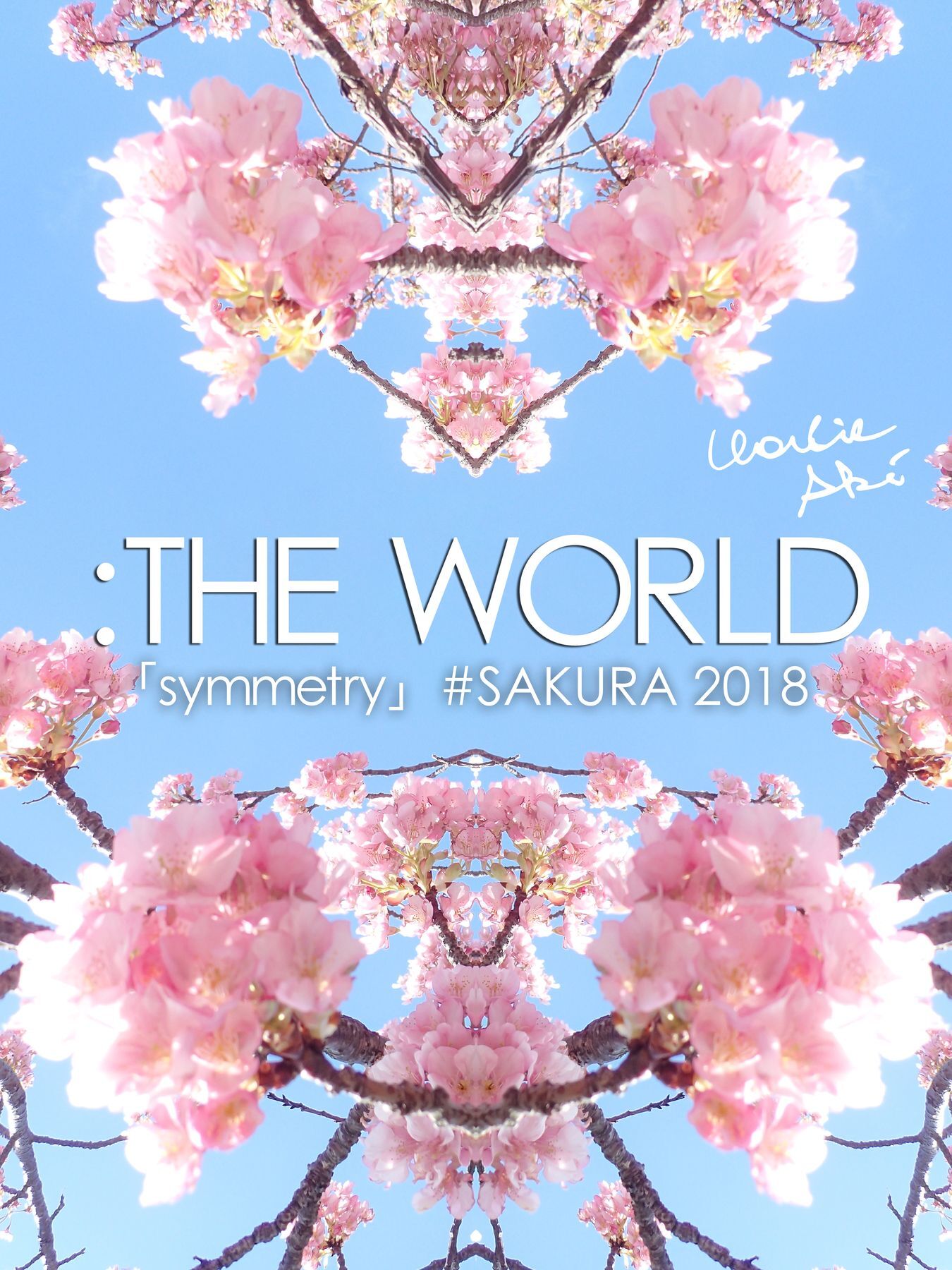 ：THE WORLD - 「symmetry」#SAKURA 2018