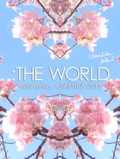 :THE WORLD - 「symmetry」#SAKURA 2018