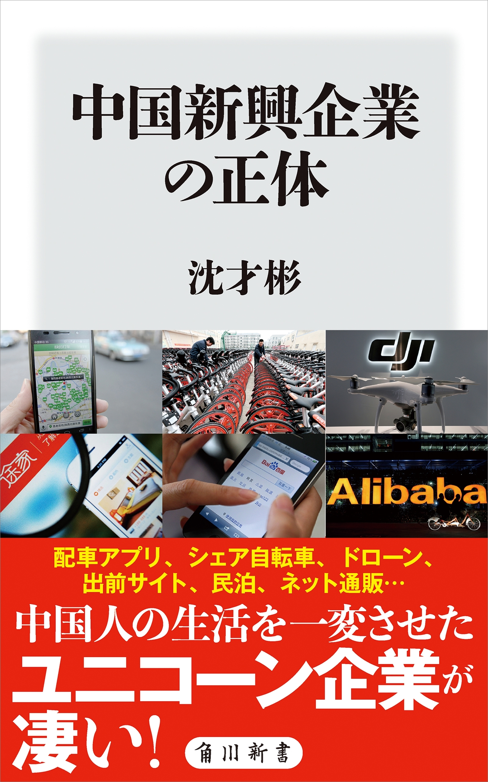 中国新興企業の正体
