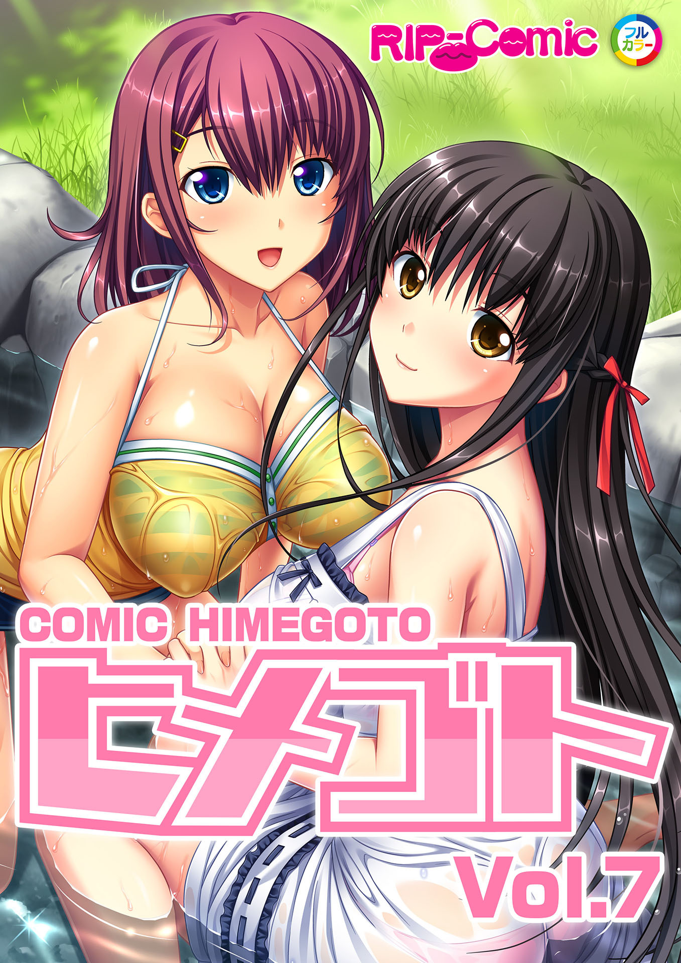 コミック ヒメゴト Vol.7