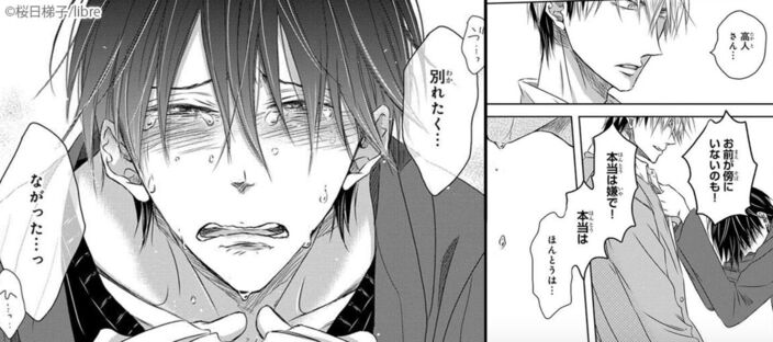 【期間限定　無料お試し版　閲覧期限2026年6月4日】抱かれたい男1位に脅されています。のコマ