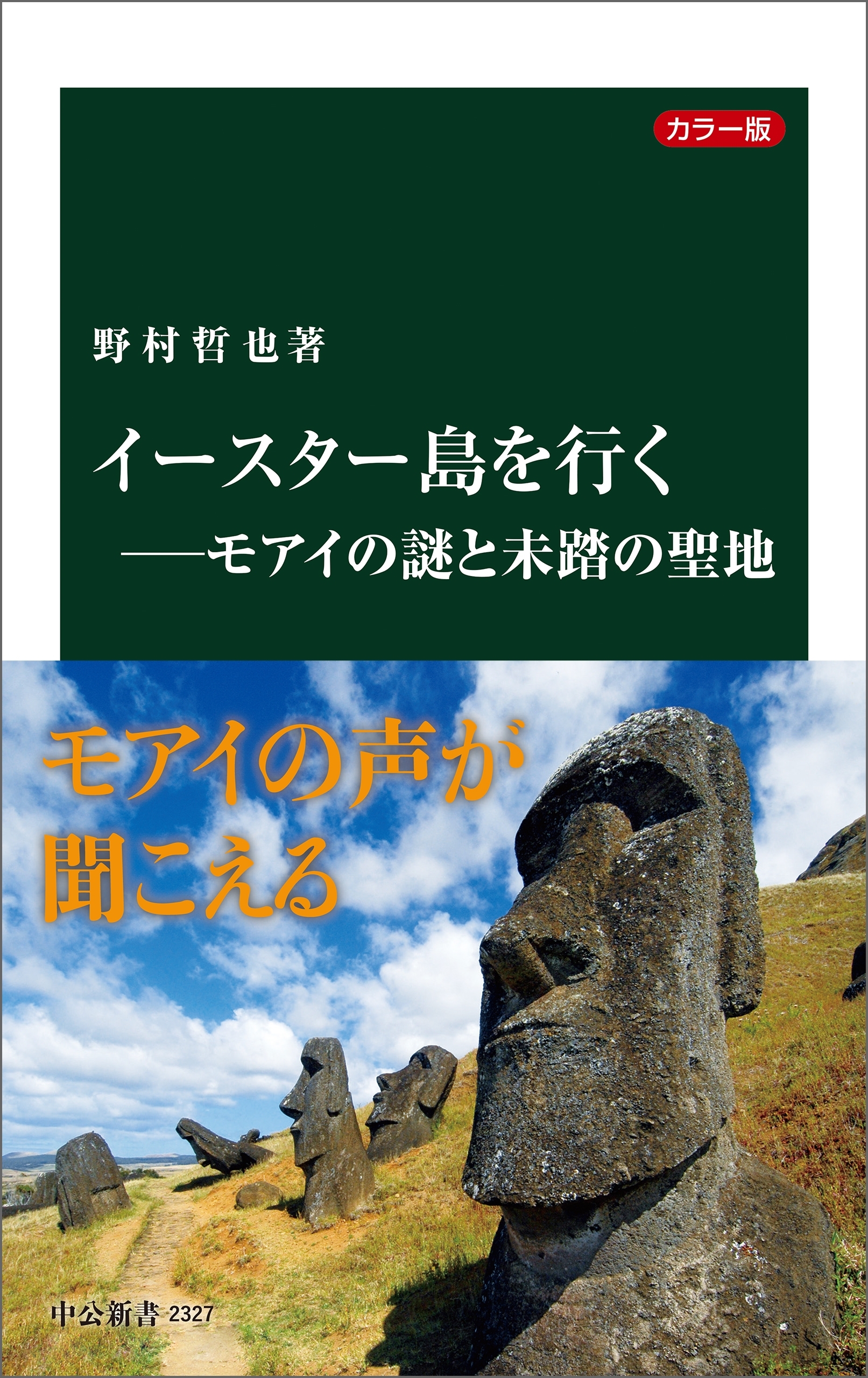 カラー版　イースター島を行く―モアイの謎と未踏の聖地