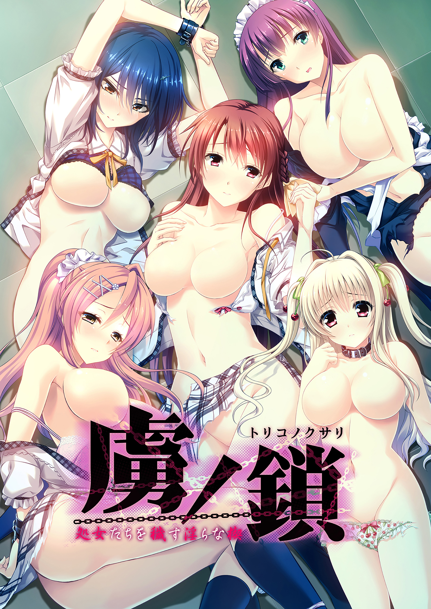 虜ノ鎖 ～処女たちを穢す淫らな楔～