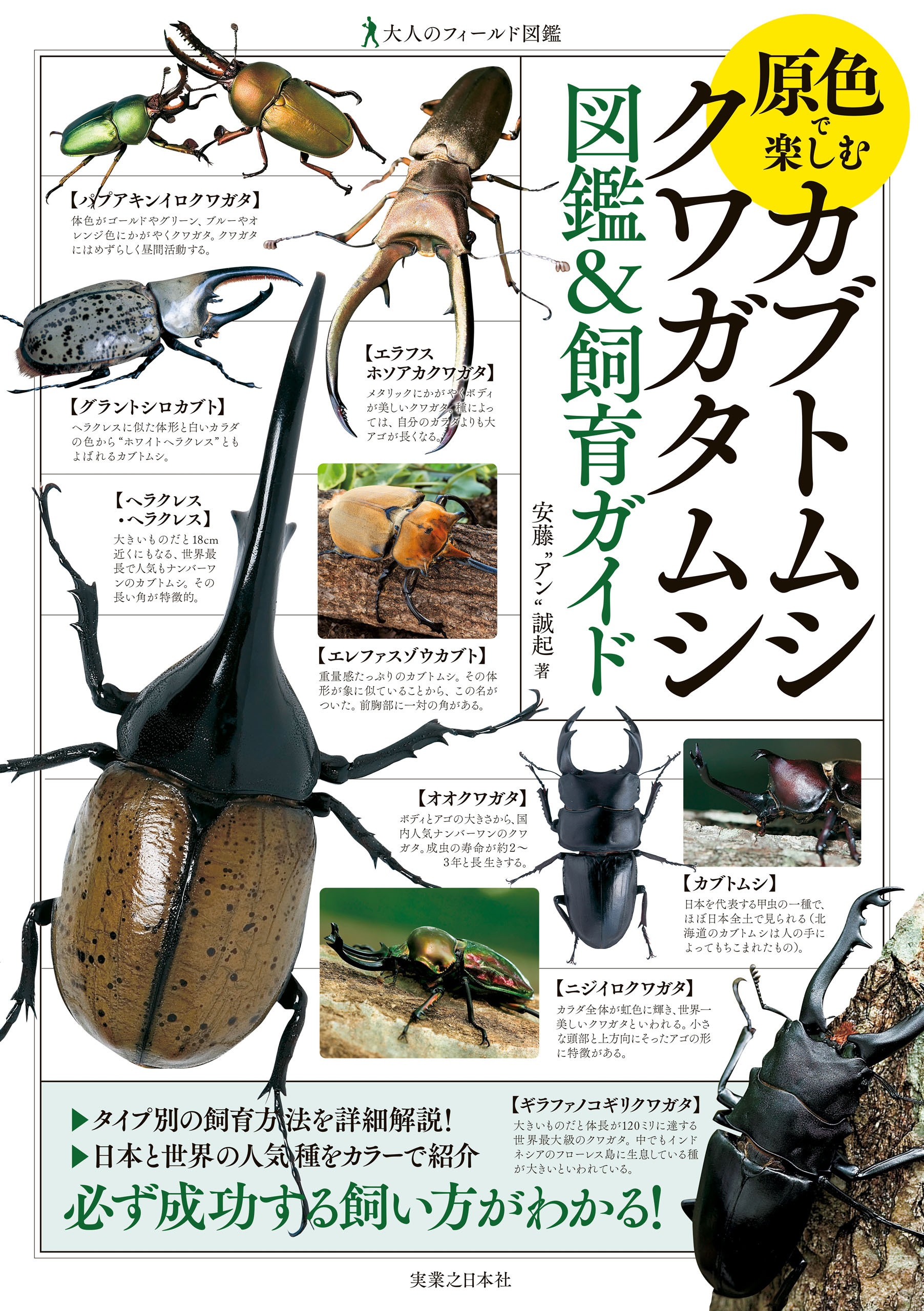 原色で楽しむ　カブトムシ・クワガタムシ　図鑑＆飼育ガイド