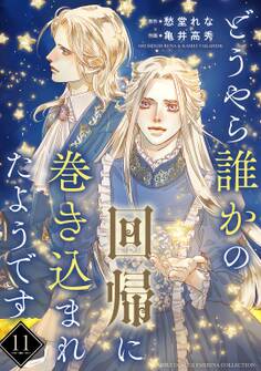 どうやら誰かの回帰に巻き込まれたようです 【分冊版】 11話