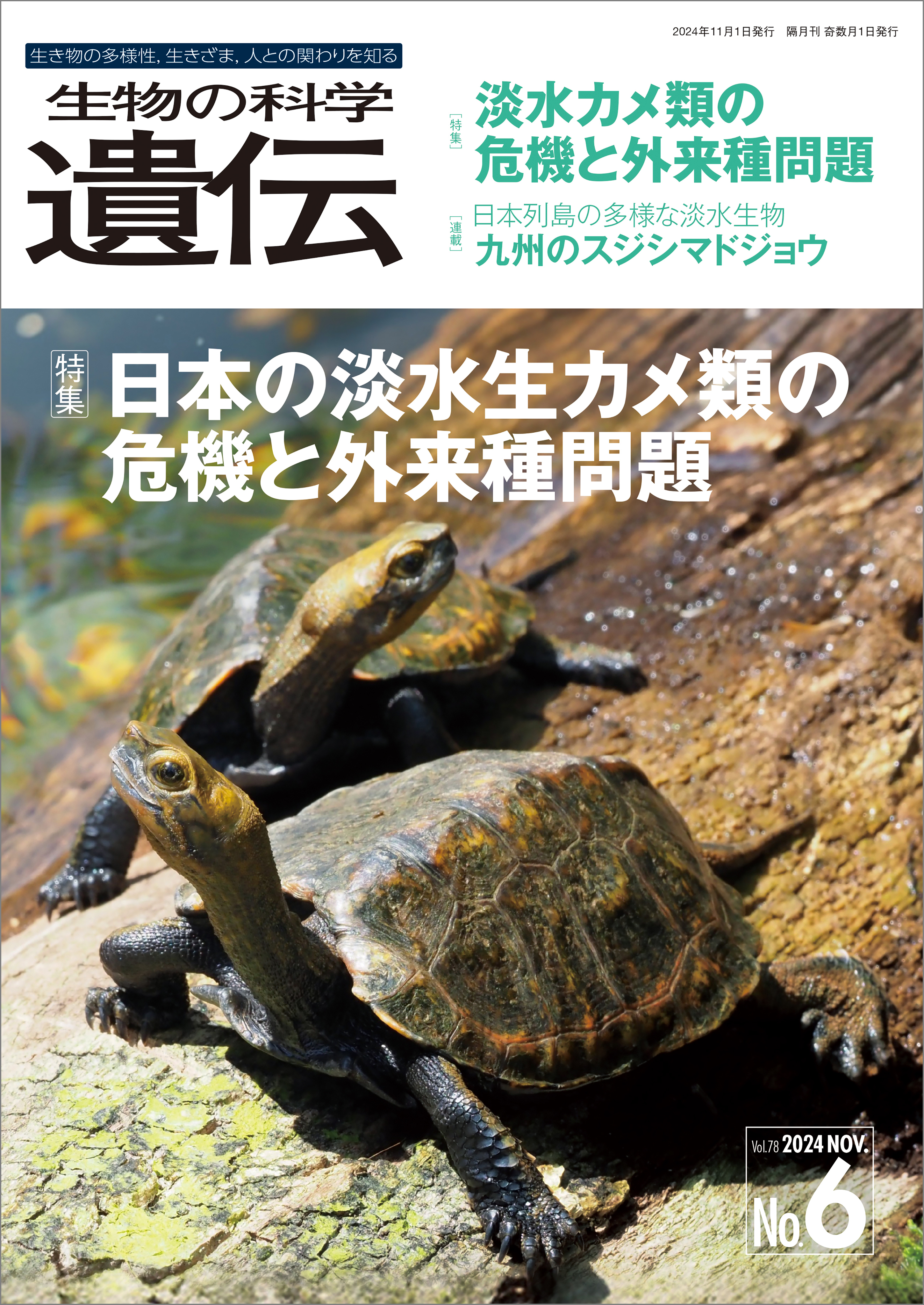 生物の科学 遺伝 2024年11月発行号 Vol.78 No.6