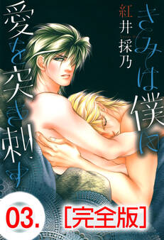 きみは僕に愛を突き刺す【完全版】 3