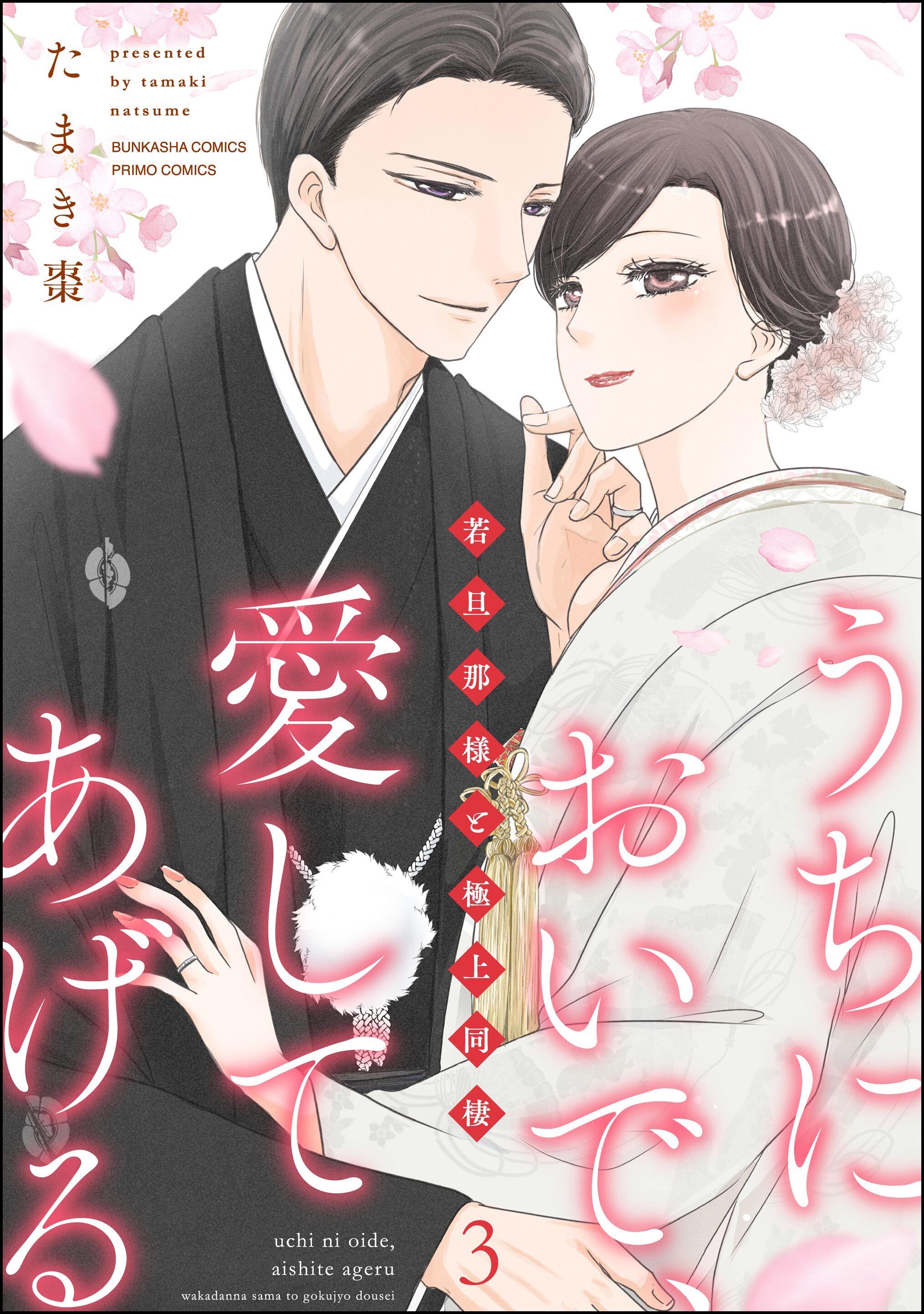 うちにおいで、愛してあげる 若旦那様と極上同棲【かきおろし漫画付】　（3）