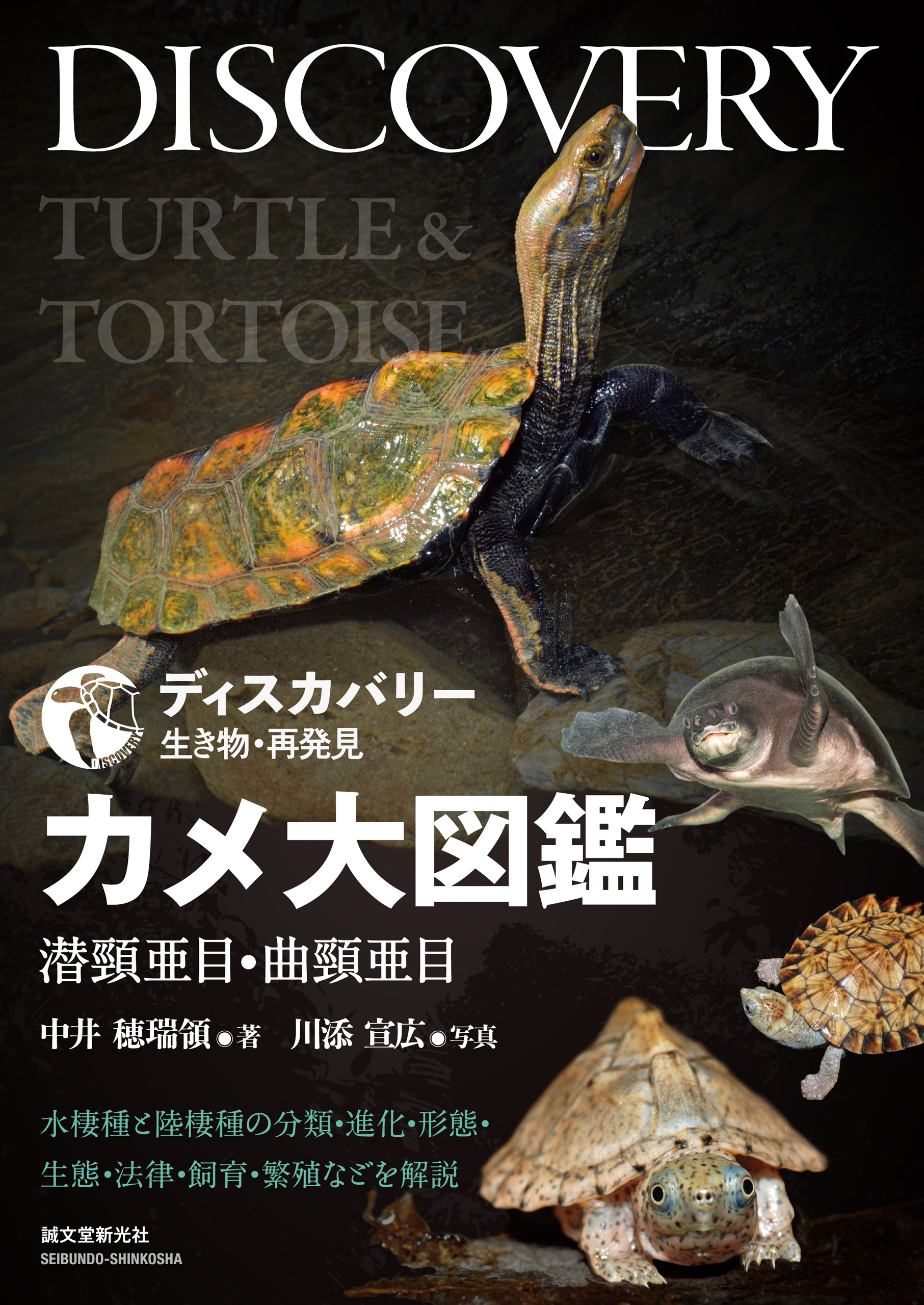 カメ大図鑑 潜頸亜目・曲頸亜目