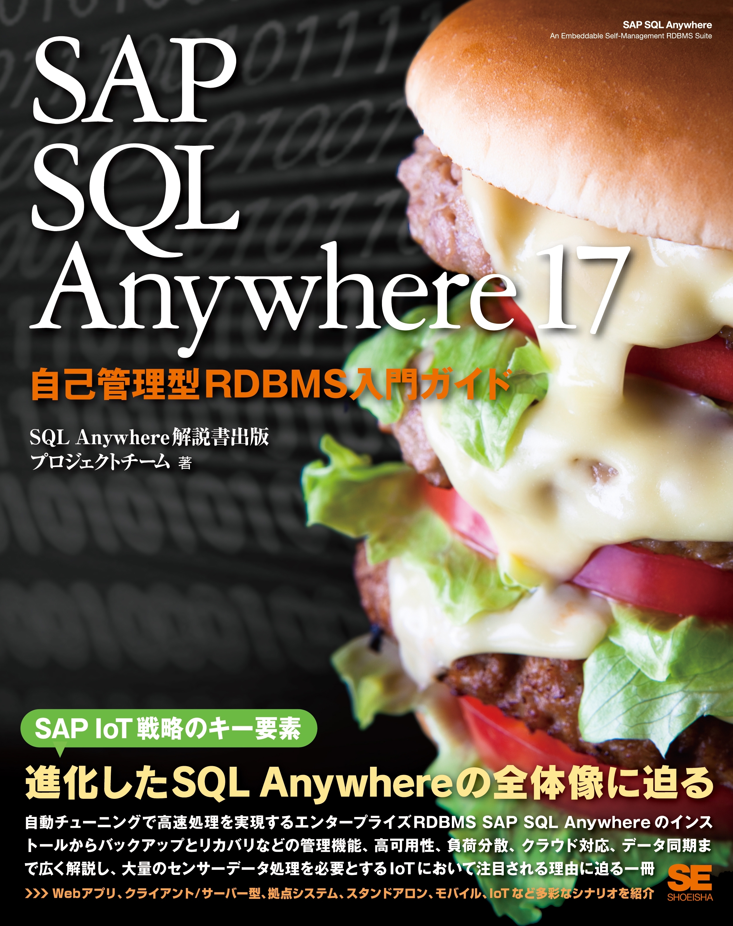 SAP SQL Anywhere 17 自己管理型RDBMS入門ガイド