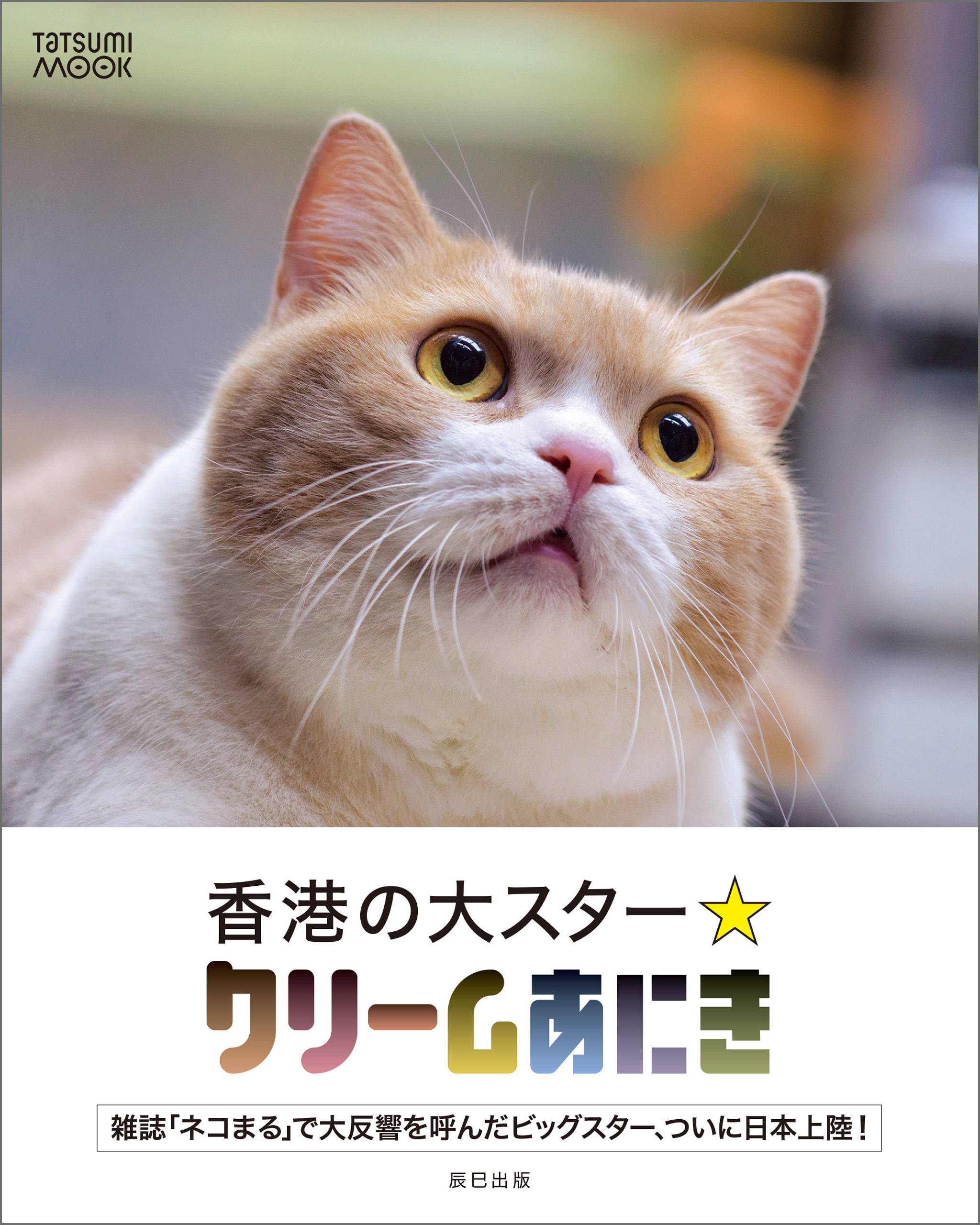 香港の大スター☆クリームあにき