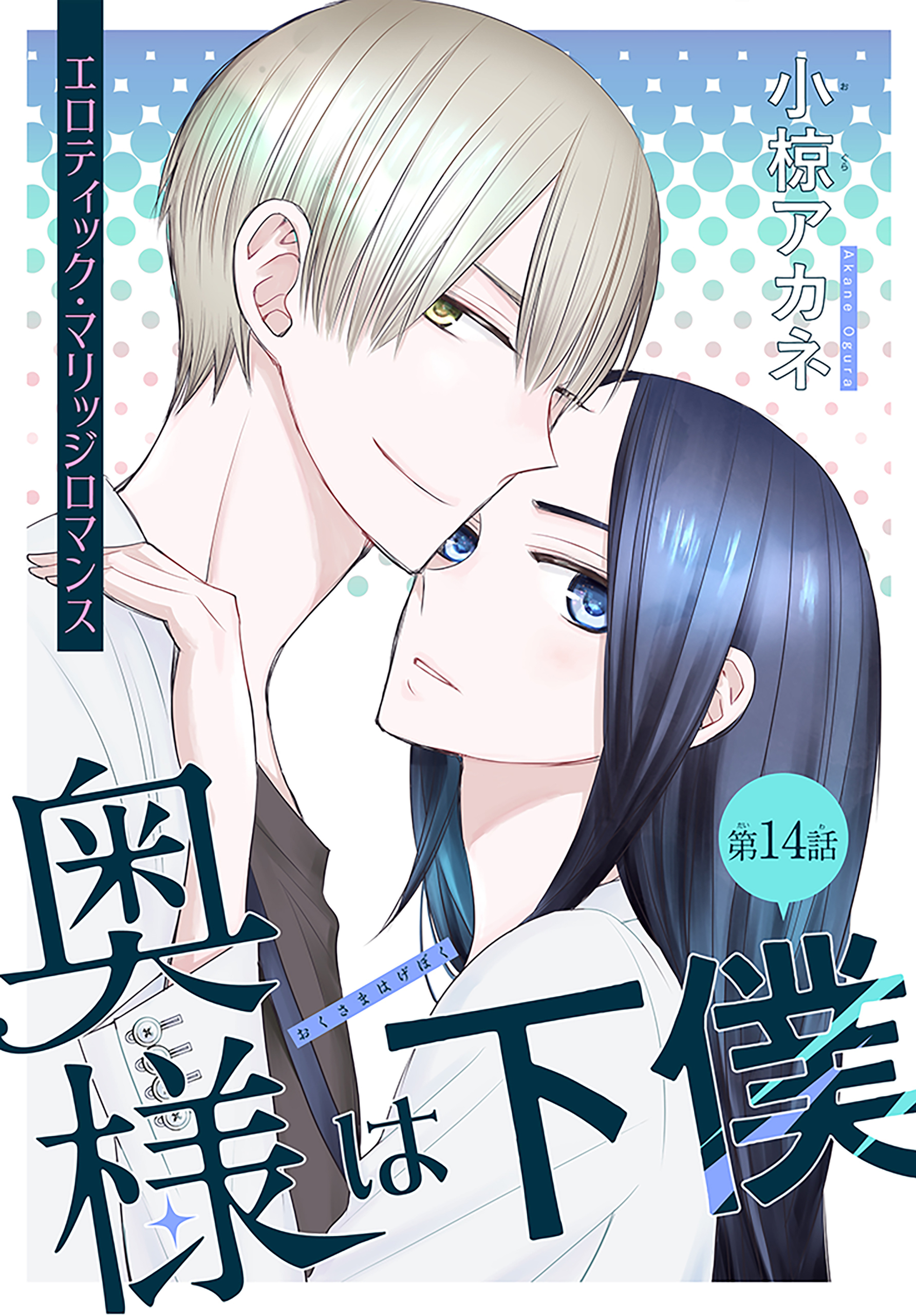 奥様は下僕［1話売り］　story14