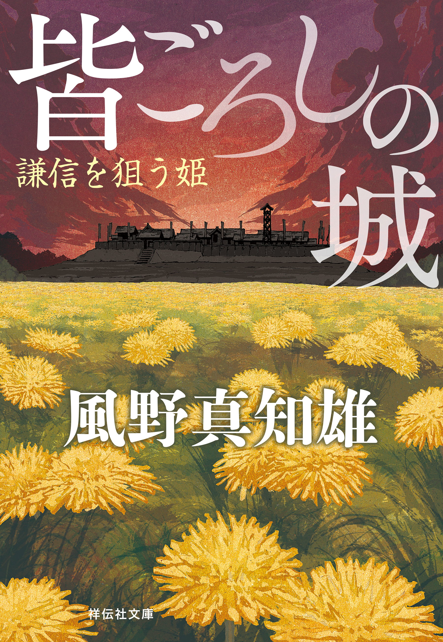 皆ごろしの城　謙信を狙う姫