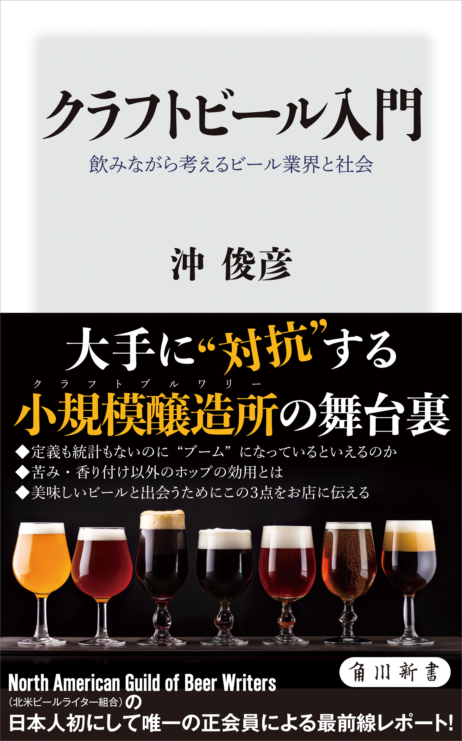 クラフトビール入門　飲みながら考えるビール業界と社会