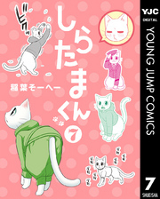 しらたまくん 7