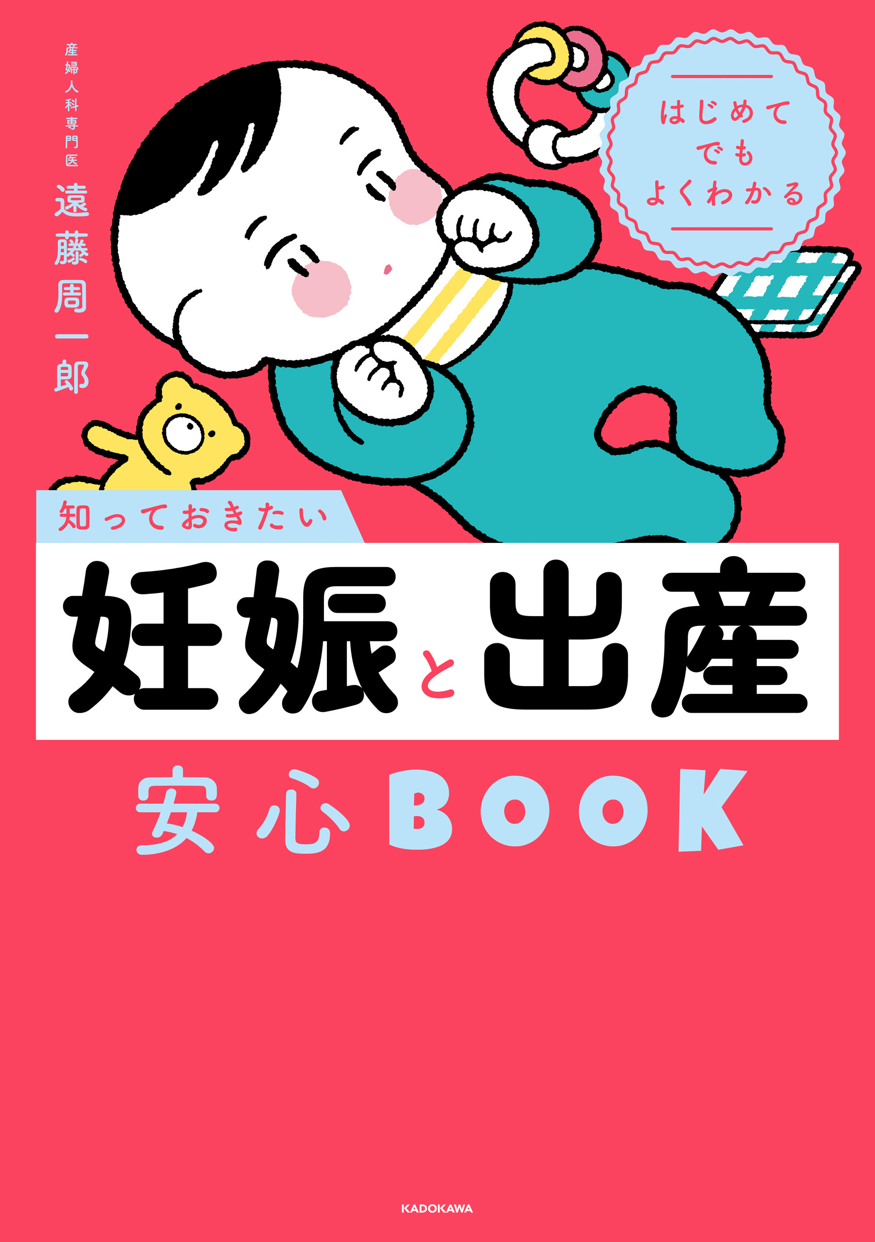はじめてでもよくわかる　知っておきたい妊娠と出産安心BOOK