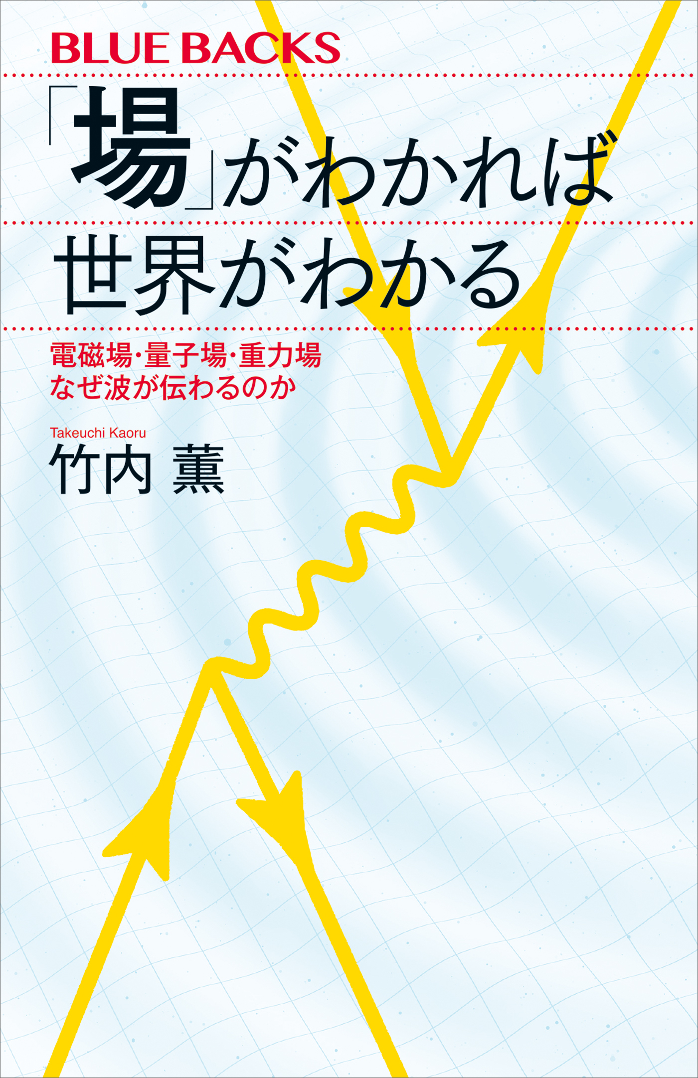 「場」がわかれば世界がわかる　電磁場・量子場・重力場　なぜ波が伝わるのか