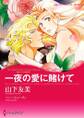 一夜の愛に賭けて