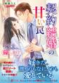契約結婚の甘い罠~エリートドクターと恋する蜜月~