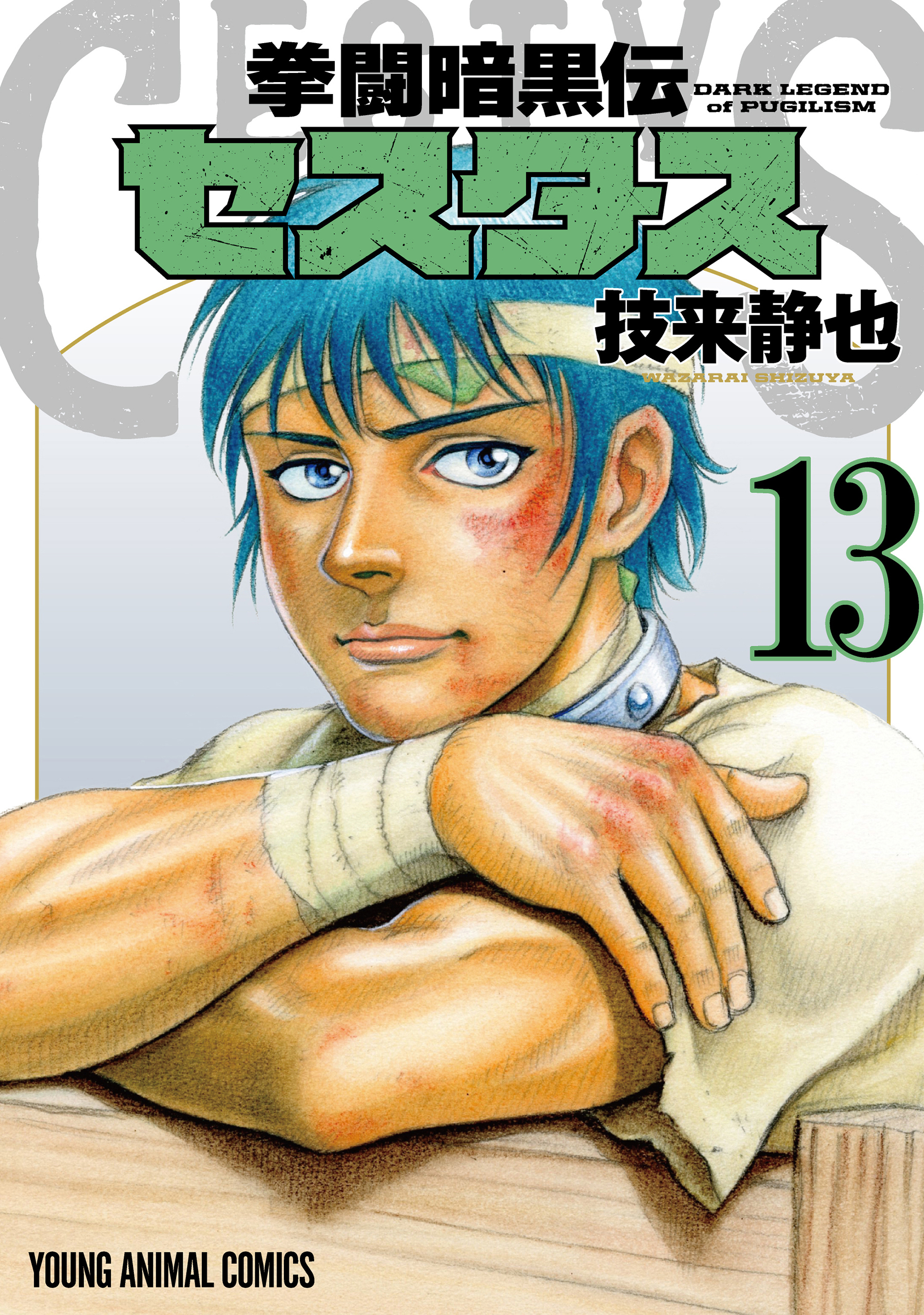 拳闘暗黒伝セスタス（13）